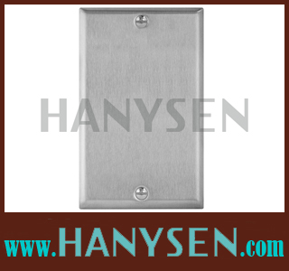 One-Gang-Blank-Wallplate-SS